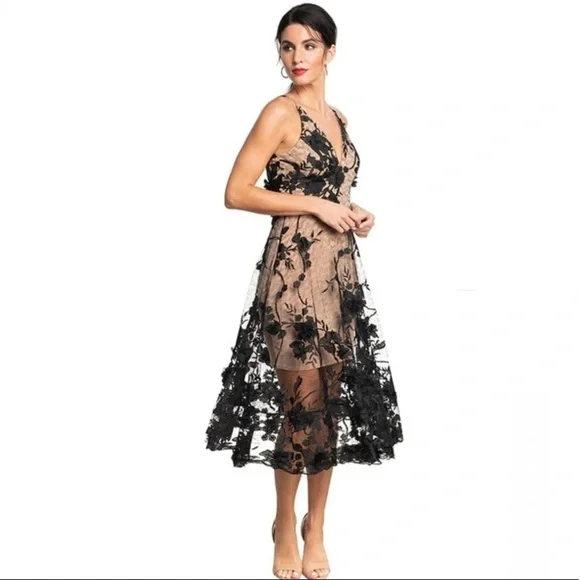 Dress the Population Audrey‎ Sheer Floral Overlay A-Line Sleeveless V-Neck XS